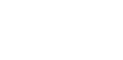 The Sovini Group logo