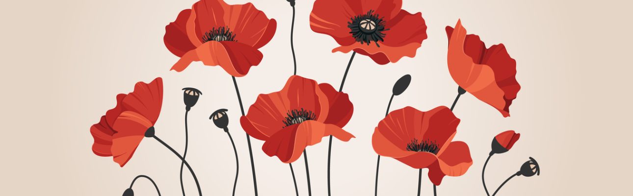 Banner image related to 'Veteran support and remembrance 2024'