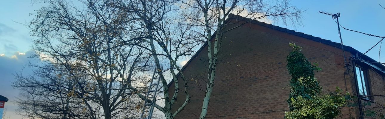 Banner image related to 'Festive Tip – Get to know your winter grounds maintenance and communal cleaning schedules'