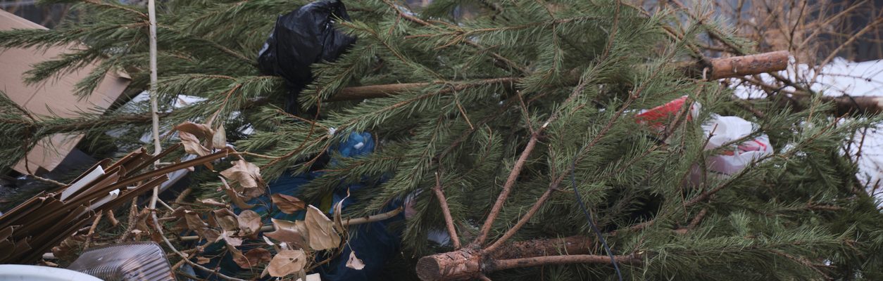 Banner image related to 'Don’t let fly-tipping ruin Christmas!'