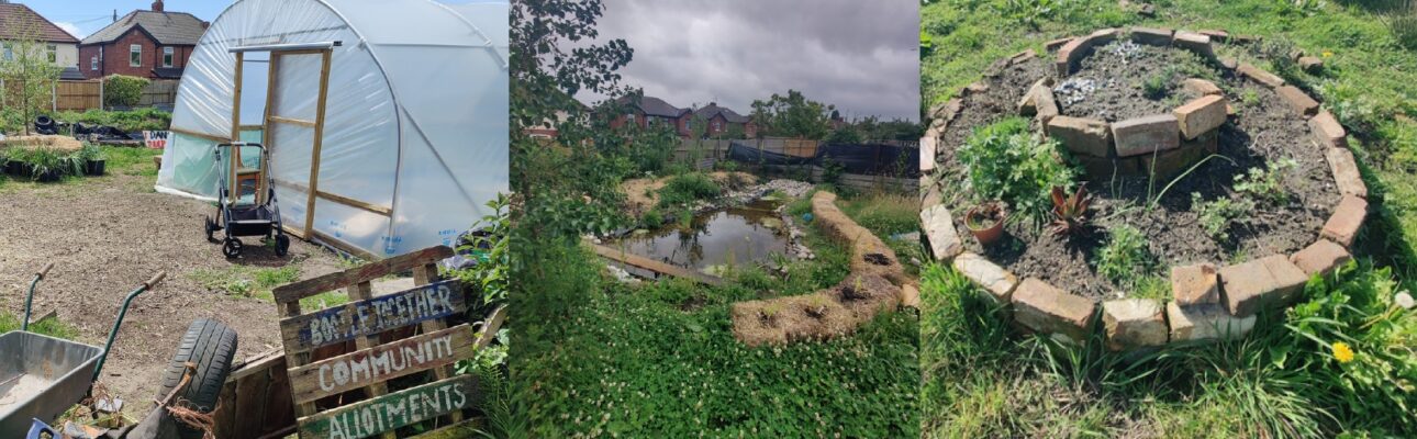 Banner image related to 'Get Growing at the Bootle Together Allotment'