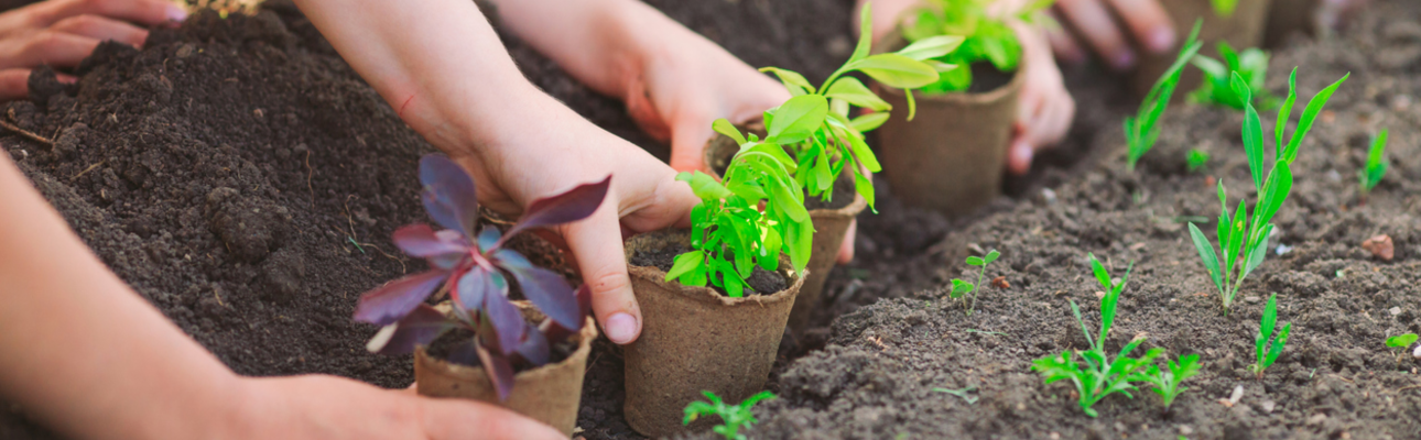 Banner image related to 'Applications are now open for our Community Development Fund'