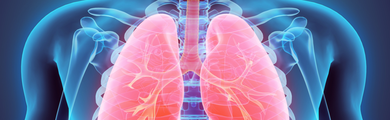 Banner image related to 'Looking after your heart and lung health'