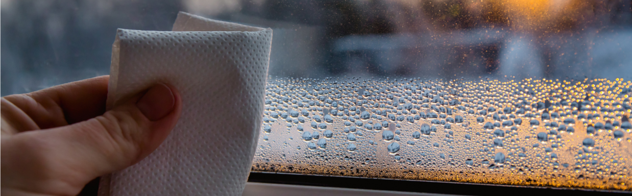 Banner image related to 'Damp, mould and condensation can happen in any season – here’s how to prevent it!'