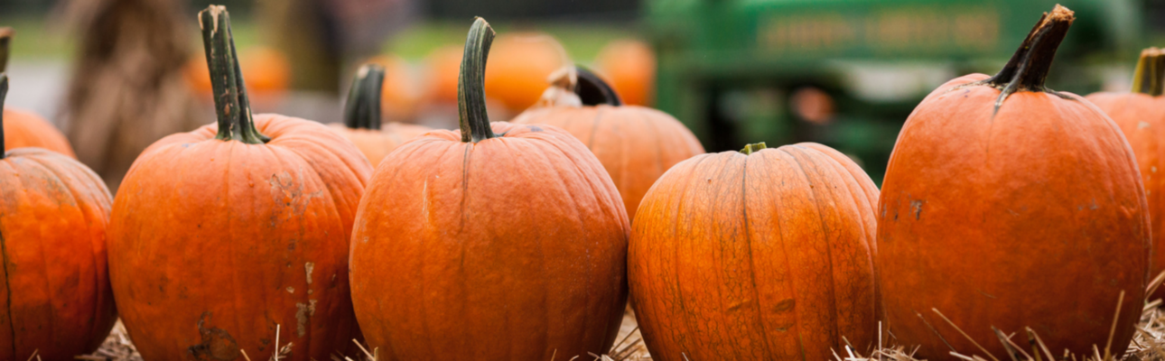 Banner image related to 'Join Us for The Big Pumpkin Smash!'